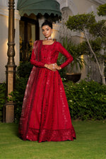 GUL-E-RANA-DGLL04-25